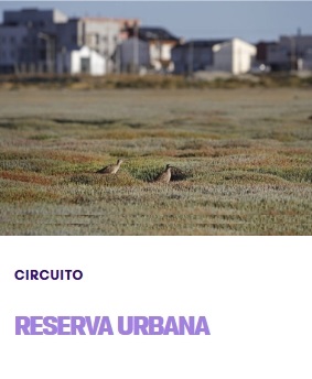 Turismo en Rio Gallegos Patagonia Argentina